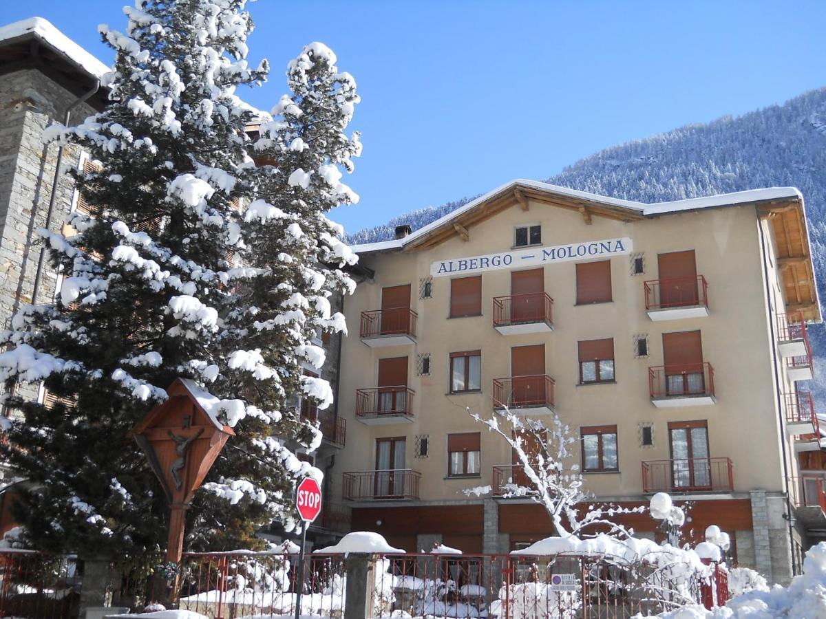 Mologna Hotel