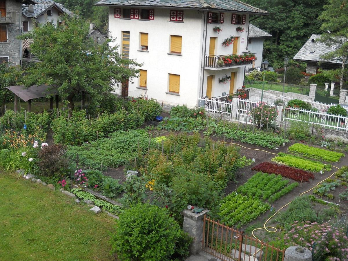 Mologna Hotel